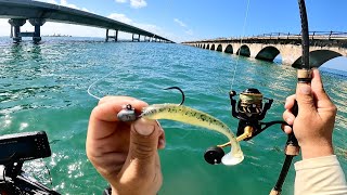 Florida Keys - Fishing The 7 Mile Bridge (First Time)