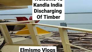 Kandla India Discharging of Timber / @elmismo5828