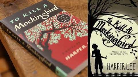 To Kill a Mockingbird - Full Summary & Analysis | Themes, Characters & Symbolism Explained