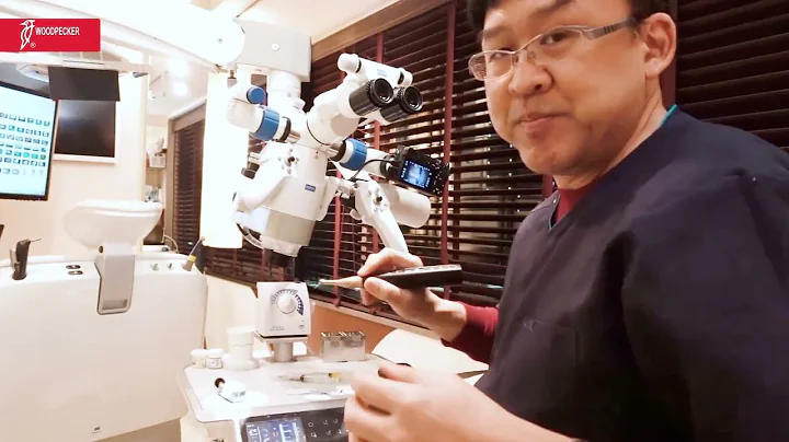 Woodpecker - Ai Motor - Overview by Tr.Yoshi Terauchi