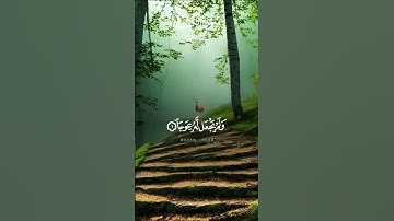 #سورة_الكهف #سعود_الشريم #يوم_الجمعة #الجمعة #قران_كريم #قرآن #قرٱن #قرآن_كريم