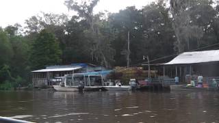 Swamp houses in New Orleans.