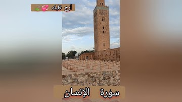 أرح قلبك 💖 (سورة الإنسان) 🌾 للقارئ سالم الرويلي
