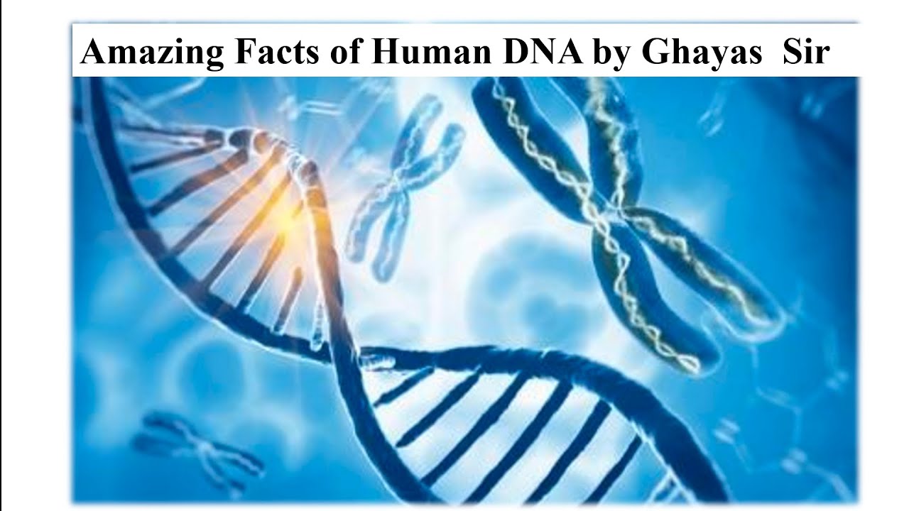 Amazing Facts of Human DNA by Ghayas sir - YouTube