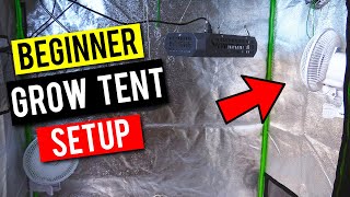 Easy Grow Tent Setup For Beginners & Planting Seeds