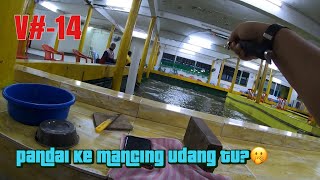 Tun Aiboy Mancing Udang Harimau | Pandai Ke? | V#-14