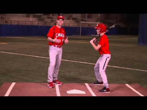The Batter's Box