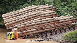 Wow !!! Extremely Dangerous Fastest Idiost Logging Wood Truck Operator | Heavy Equipment Machines.