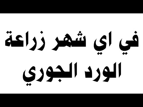 فيديو: متى يكون موسم نمو الورد؟