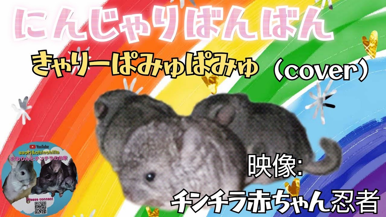 出演:チンチラ赤ちゃん忍者 #にんじゃりばんばん#きゃりーぱみゅぱみゅ