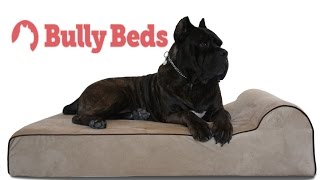 DenHaus and Bully Beds Review