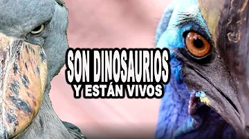 ¿Cuál es el animal vivo más parecido a un dinosaurio?