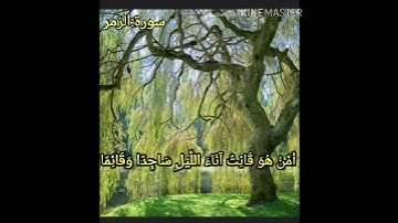 أَمَّنْ هُوَ قَانِتٌ آنَاءَ اللَّيْلِ"سورة:الزمر"الأيه9(القارئ:ابو عبدالله)