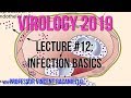 Virology Lectures 2019 #12: Infection Basics