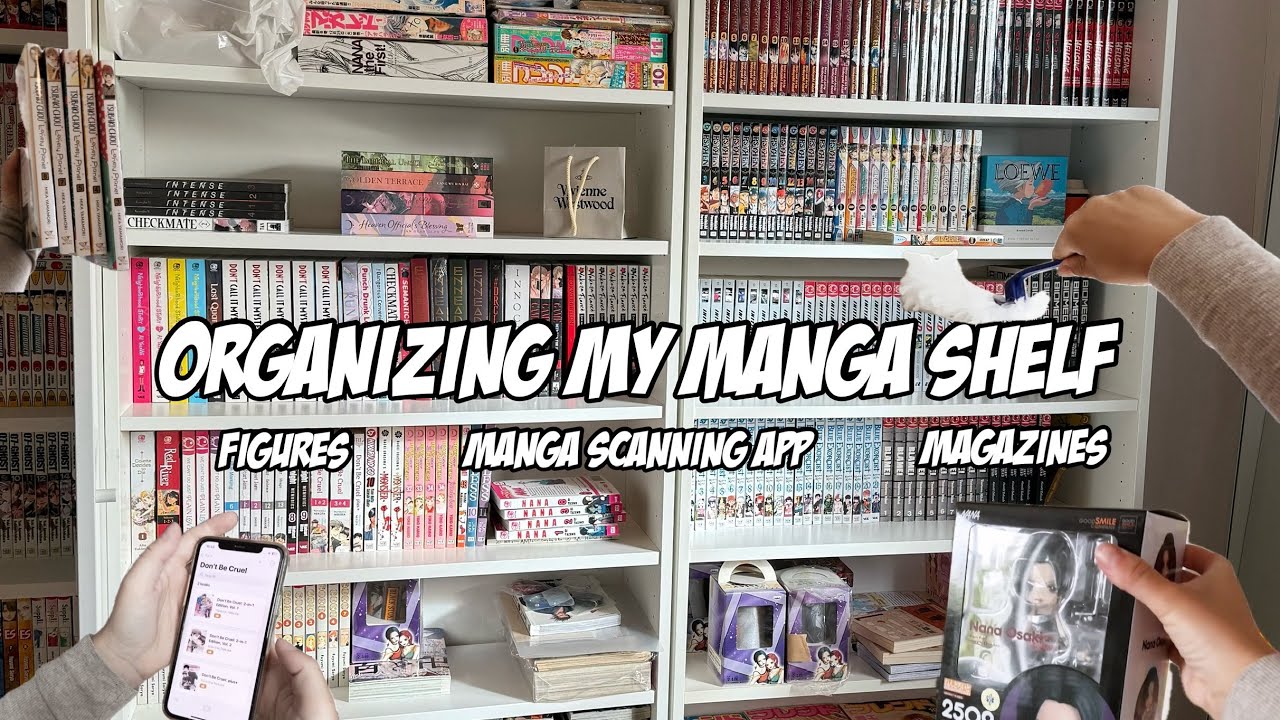 Organizing My MESSY Manga Shelf