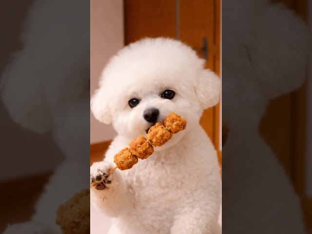 Fried Chicken Stick ASMR 🍗🐶 Mimi’s Cute Mukbang! コンビニ唐揚げ棒✨ #cute #pets #puppy