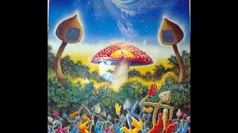 INTACT INSTINCT - Zymotic Zest (live mixed) part1