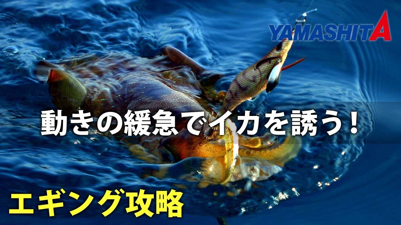 すべてのカタログ 50 エギング シャクリ 音