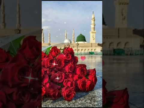 Muhmmadun Sayyedul Views 8ksubscribe Inshaallah Viral Trending Shortsyt Fyp Million Travel Like