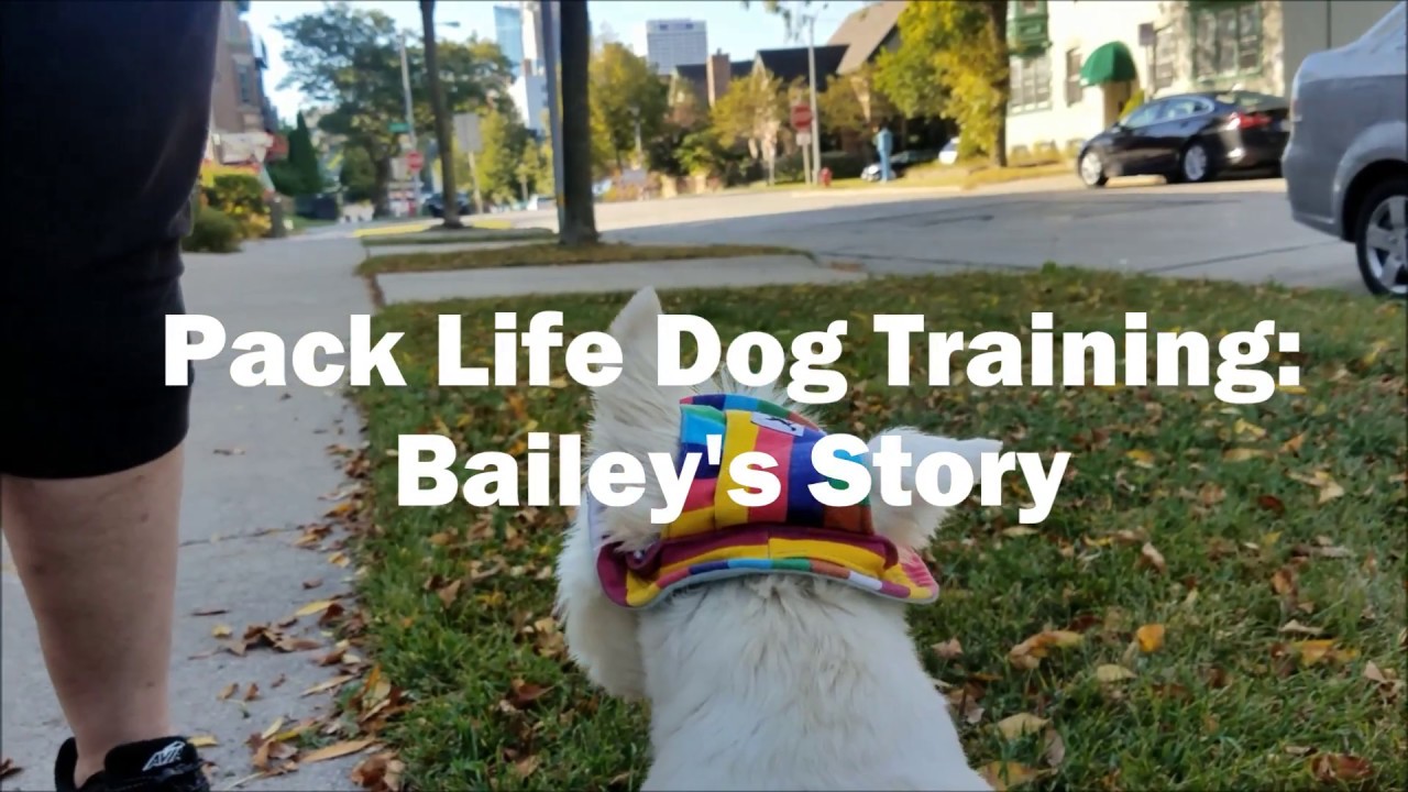 Bailey's story YouTube