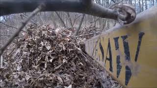 The Perfect TreeSaw clearing underbrush around row planted trees