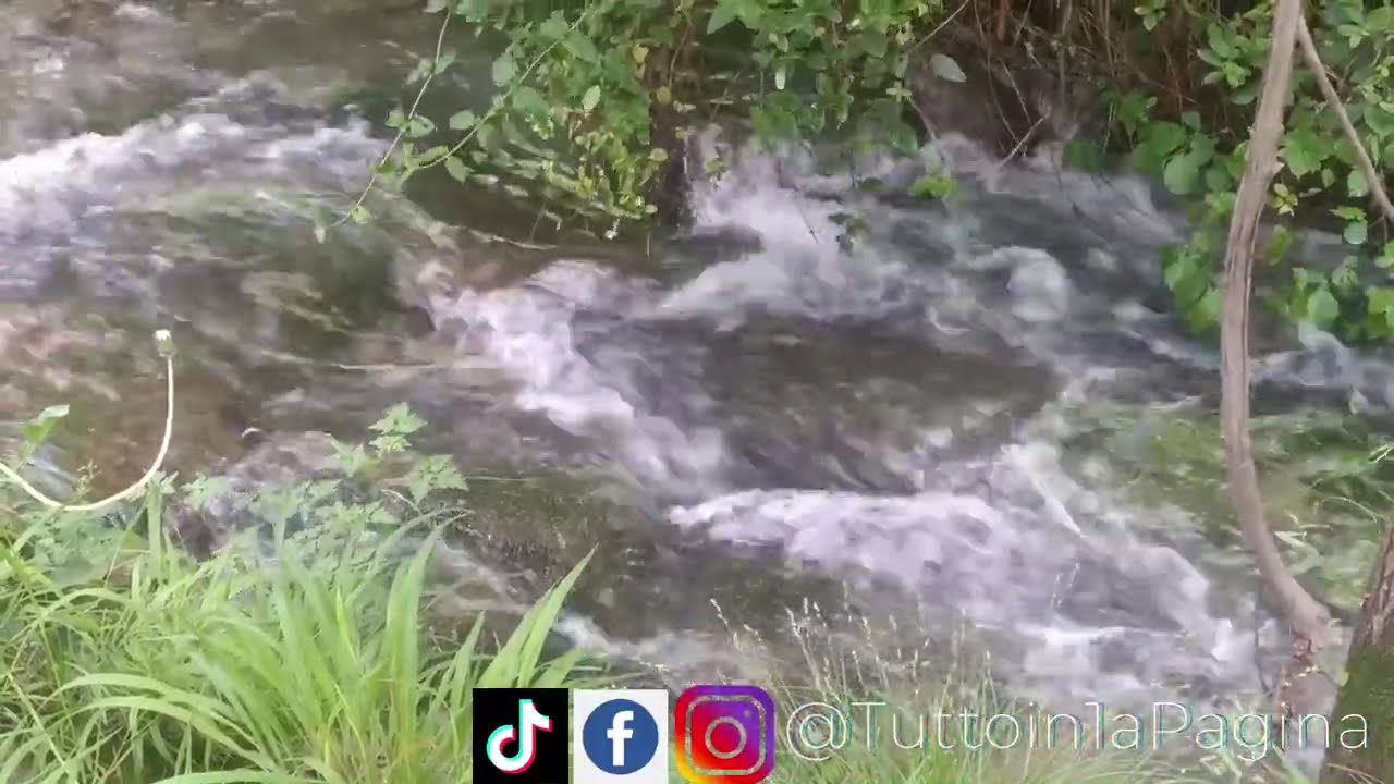 Relax e Meditazione con la Natura 10 minuti con suoni ed immagini ...