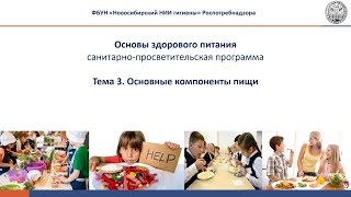 Основные компоненты пищи