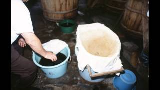 魚醤とナレズシの研究　総論２　発酵と腐敗，魚醤の系統