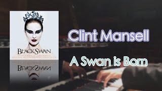Clint Mansell - ‘A Swan is Born’ from “Black Swan”