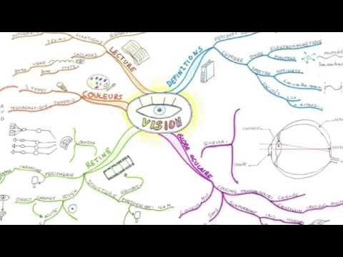 Qu'est ce que le mind mapping ? Réponse en vidéo (3 minutes)