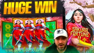 SAKURA FORTUNE 2 SUPER BONUS! RECORD WIN!