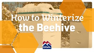How to Winterize the Beehive