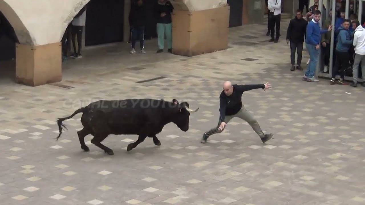 28/02/2026 - ALMAZORA - GANADERIA LA PALOMA - BUENA MAÑANA CON ALGUN SUSTO SIN IMPORTANCIA