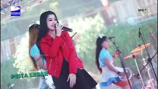 Jaran Goyang - Vivi Artika - New KENDEDES - Rama  Production - Pantai Soge
