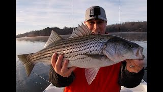 Herring on Downlines in December (Lake Lanier Fishing)