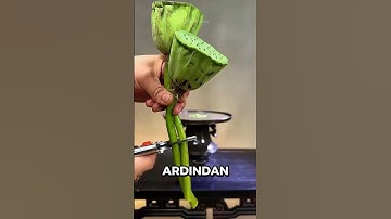 Japonların Dahiyane Çiçek Yetiştirme Tekniği!🧠🌸