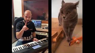 Gato Cantor - Cat Singer - SIENM
