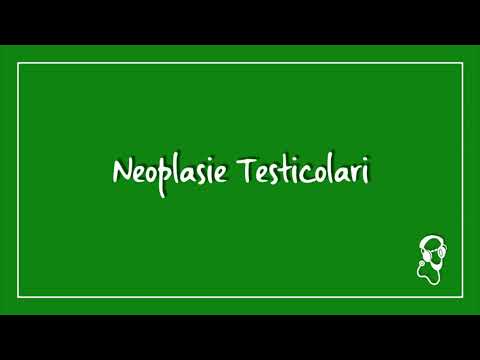 Vidéo: Néoplasie germinale in situ ?