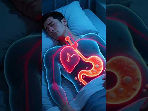 Why Eating Late at Night Is Worse Than You Think Animated Inside View digestiveprocess humanbody