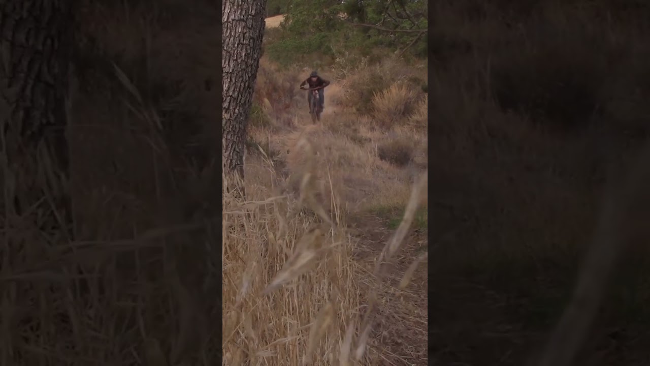 east bay Mountain biking