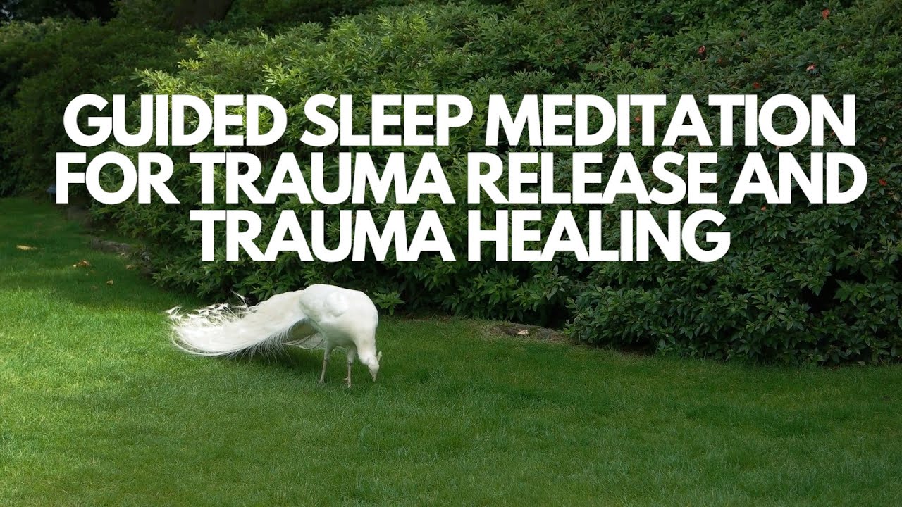 Guided sleep meditation for trauma release and trauma healing Healing ...