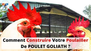 CONSTRUCTION de POULAILLER d'élevage de POULET GOLIATH (investir au pays dans le poulet local) 100%