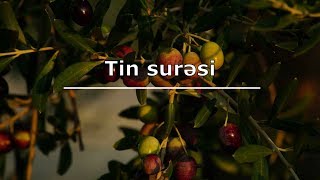 Tin Surəsi Və Mənaca Tərcüməsi. Oxuyur Mişary Raşid Əl Afasy