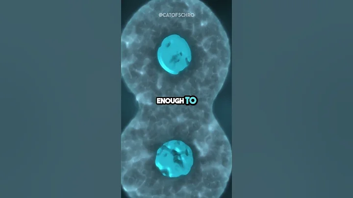 🧠 What is consciousness w/ Brian Cox  #shorts