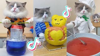 That Little Puff | Cats Make Food 😻 | TikTok Compilation 2023 #15