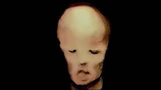 Swans - In @VirgilPink