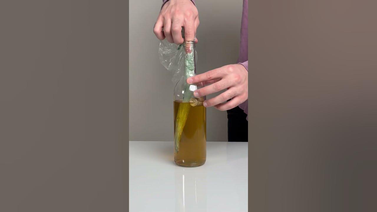 HOW TO REMOVE STUCK CORK YouTube