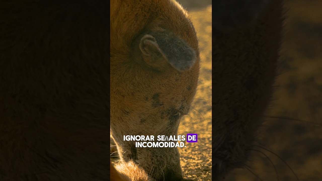 Respetar también es cuidar.