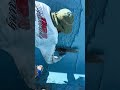 Your Best Option For Pool Plastering fyp pov pools... #Shorts #primetimepoolplastering