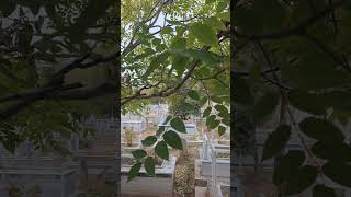 🌍 Dünya Sandığın Kadar Değerli Değil...